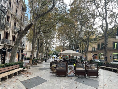 Born passageway, a pedestrian area in Palma. 