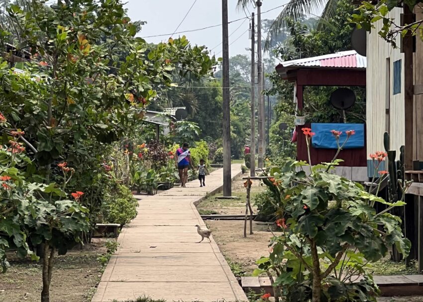 Raised concrete sidewalks, like this one in Vergel, are a boon during the rainy season.