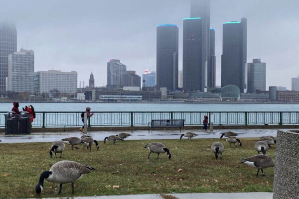 The Detroit skyline, en route to Dearborn MI.