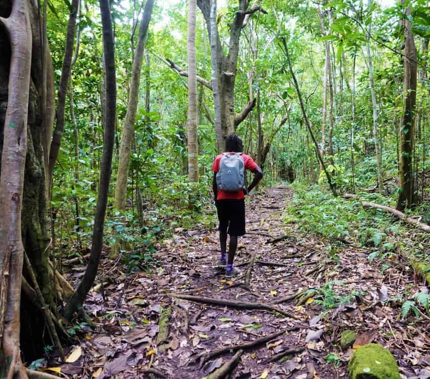 Nevis Jungle Hike