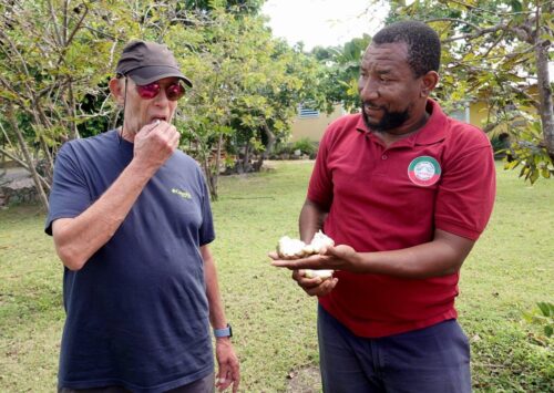 Cades Bay Food Nevis with Gerry Goodin