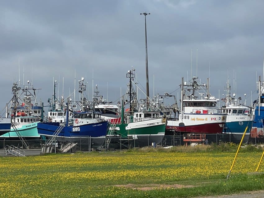 Fishing boats off season in Shippigan, New Brunswick.