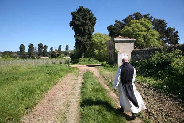 One of the monks of the Lerins.