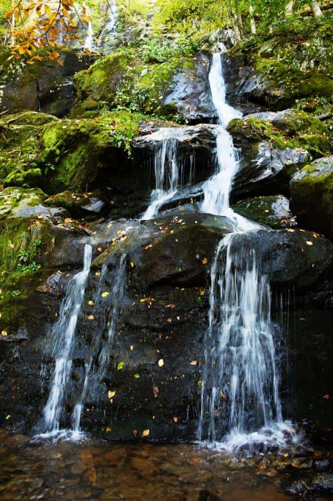 Dark Hollow Falls Shenandoah