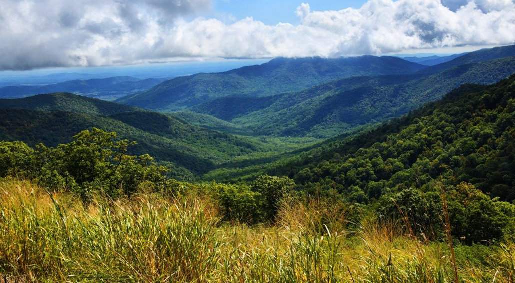 Shenadoah National Park Views 