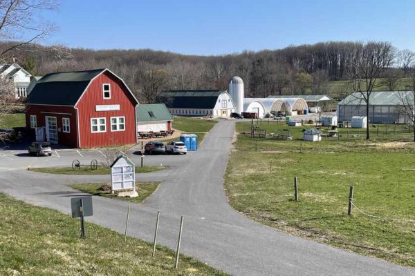 Mary's Land Farm is a great place for their special events and farm market.