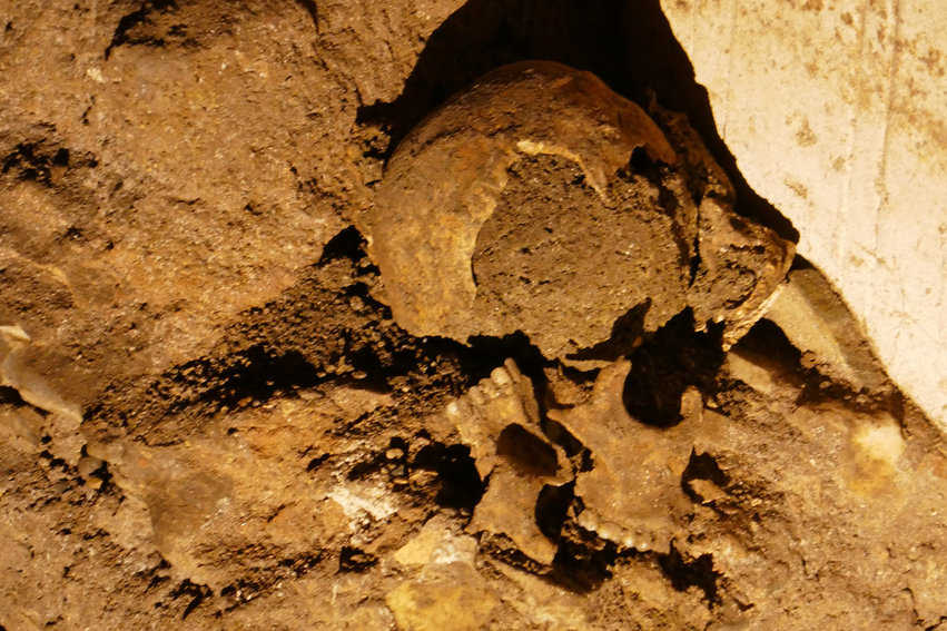 A human skull was spotted in the rubble of the second archaeological site visited on the Exclusive Tour.