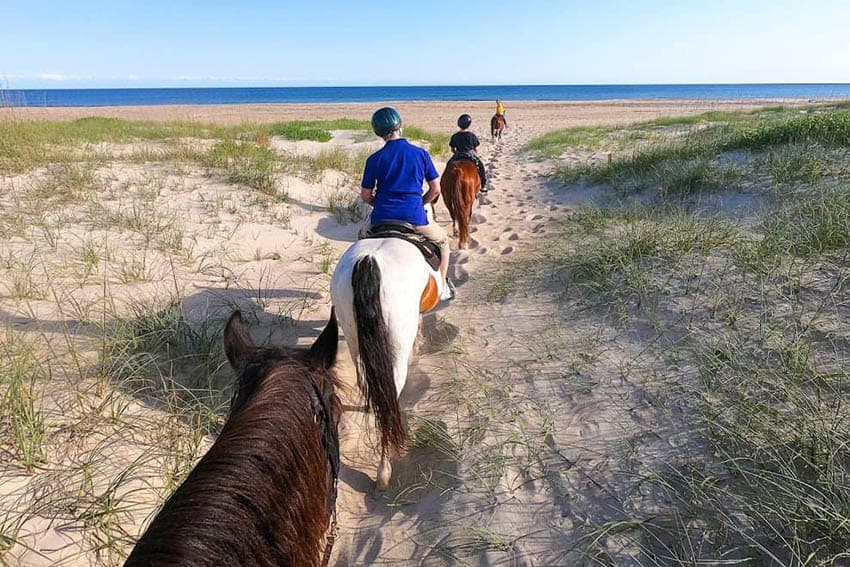 outer-banks-horseback