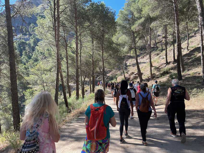 You walk through a pleasant forest on flat ground to get to the cliffs.