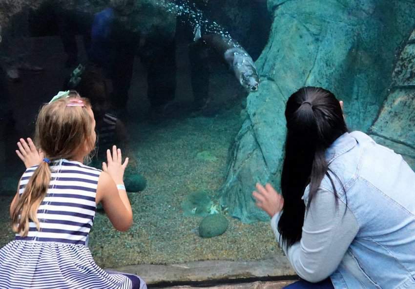 Denver Aquarium