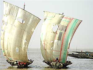 Sailboats on the Niger River