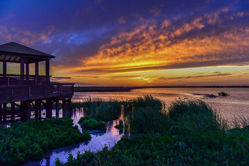 Sunset from Leonabelle Turbull Birding Center.