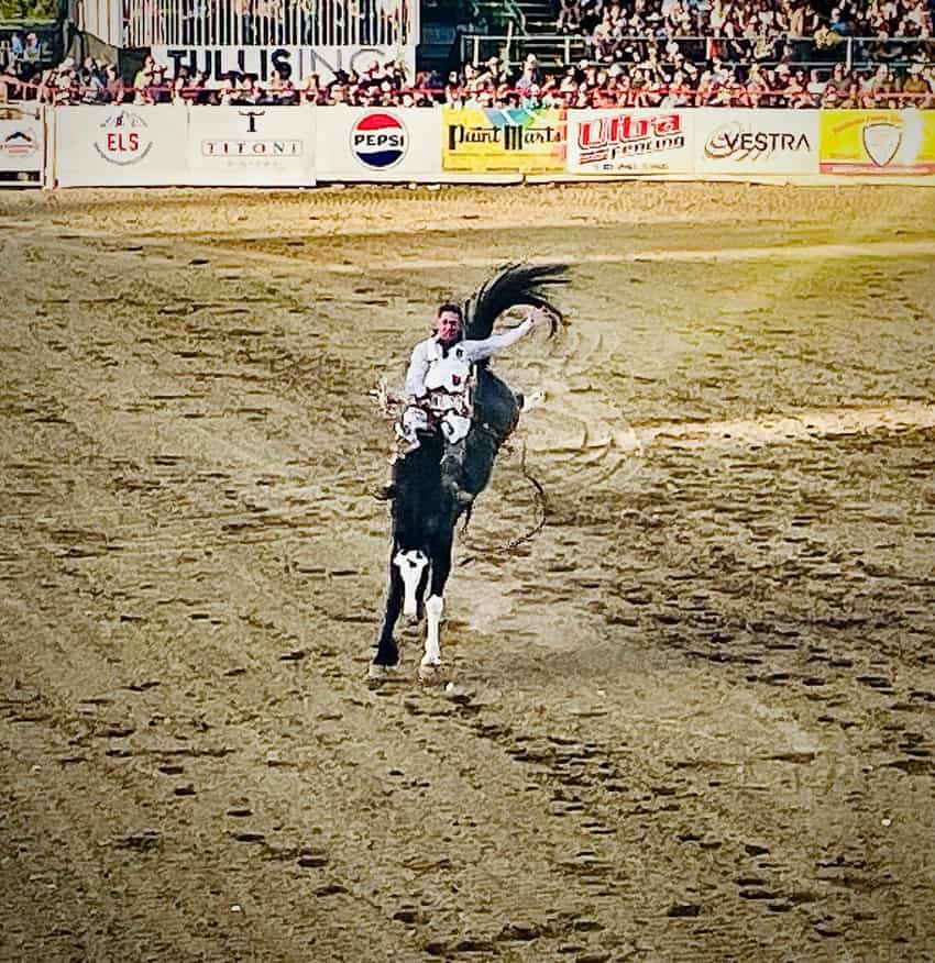 Rider in the Redding Rodeo.Bronco busting is one of many events during Rodeo Week in Redding.
