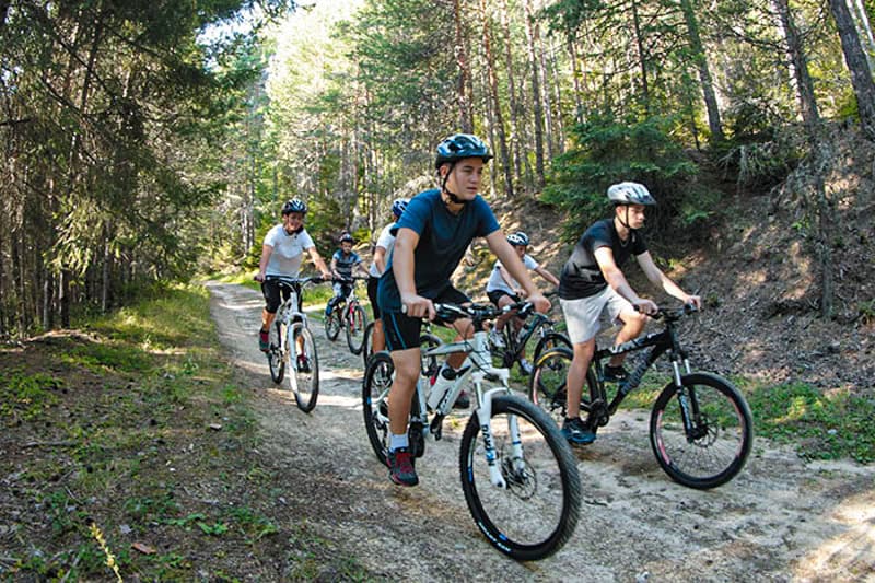 Mountain biking in the forest near Bansko.