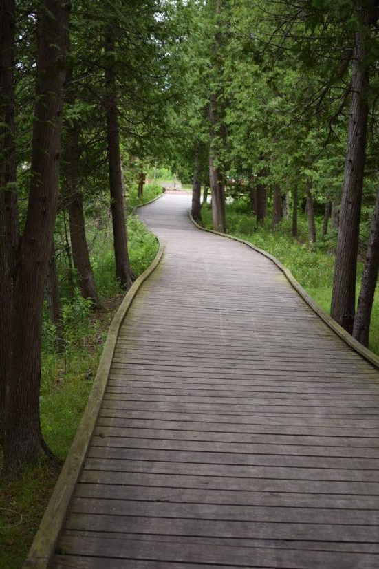 The boardwalk at the Ridges Sanctuary in Door County.