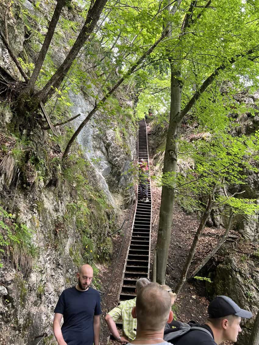 Descending Steep Stairs from Osojnica Hill. Sharon Kurtz Photo 