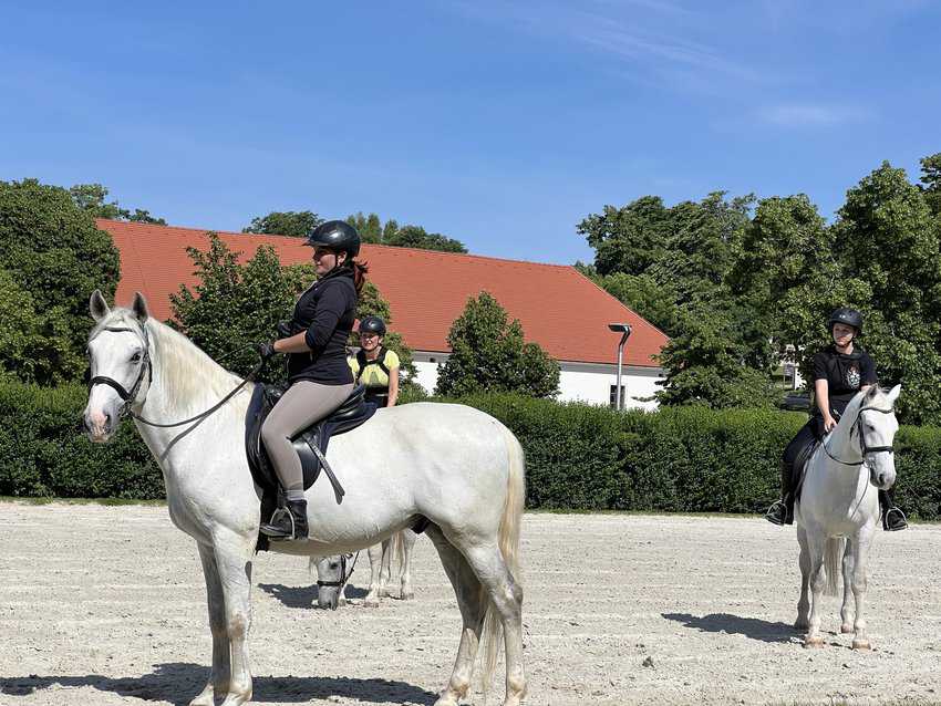 Riding Lesson at Lipica Stud Farm. Sharon Kurtz photo 