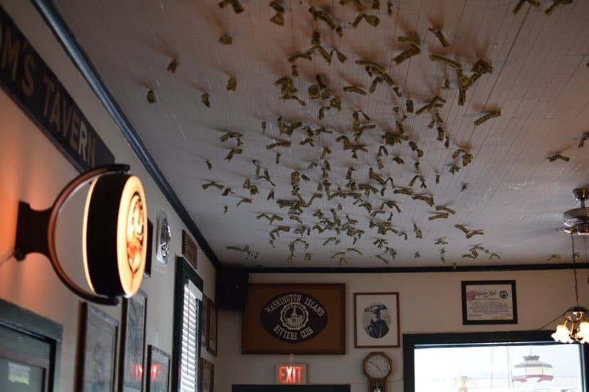 One dollar bills adorn the ceiling at Nelsen's Pub. Photo by Sarah Arksey Njegovan