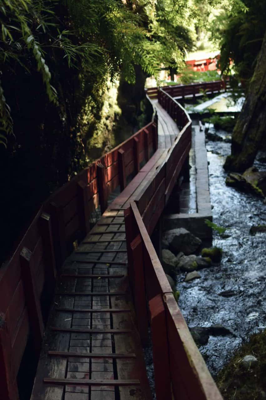 A winding wooden boardwalk which takes visitors through the 13 hot springs available at Termas Geometricas. Photo by Sarah Arksey Njegovan