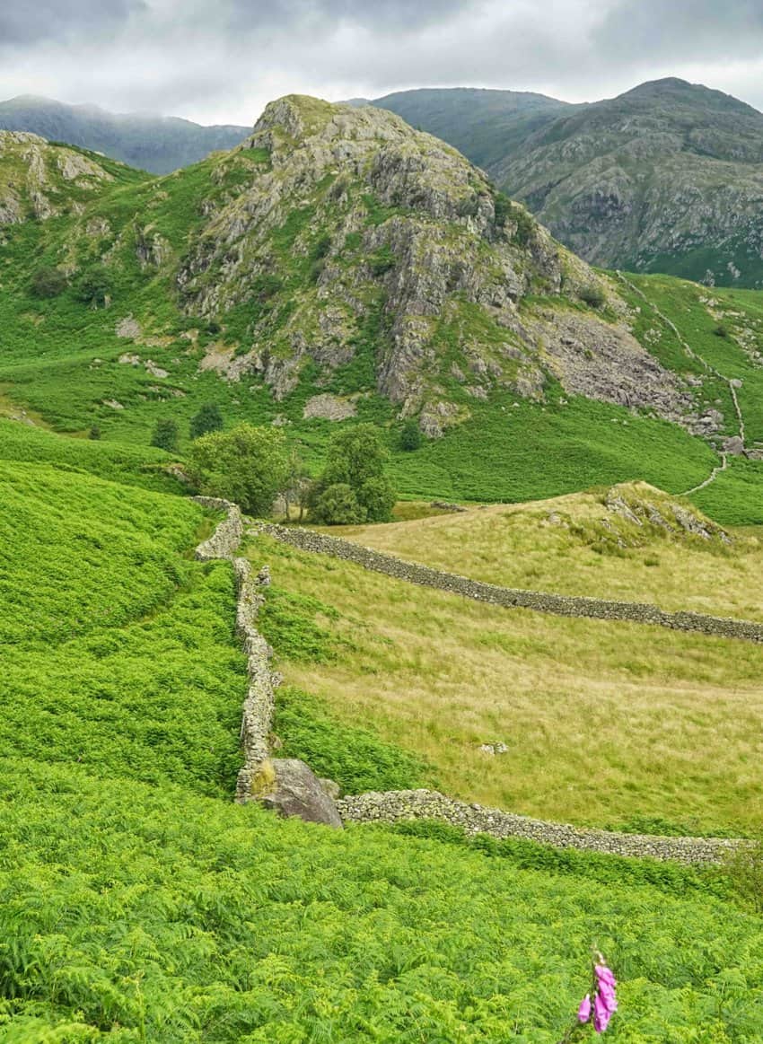 Lake District Stone Wall