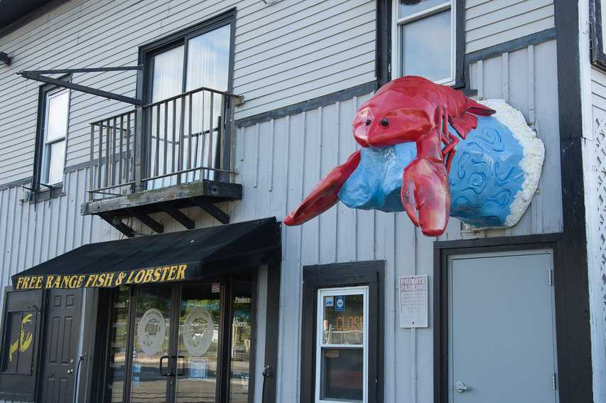 Free Range Fish and Lobster in Portland.