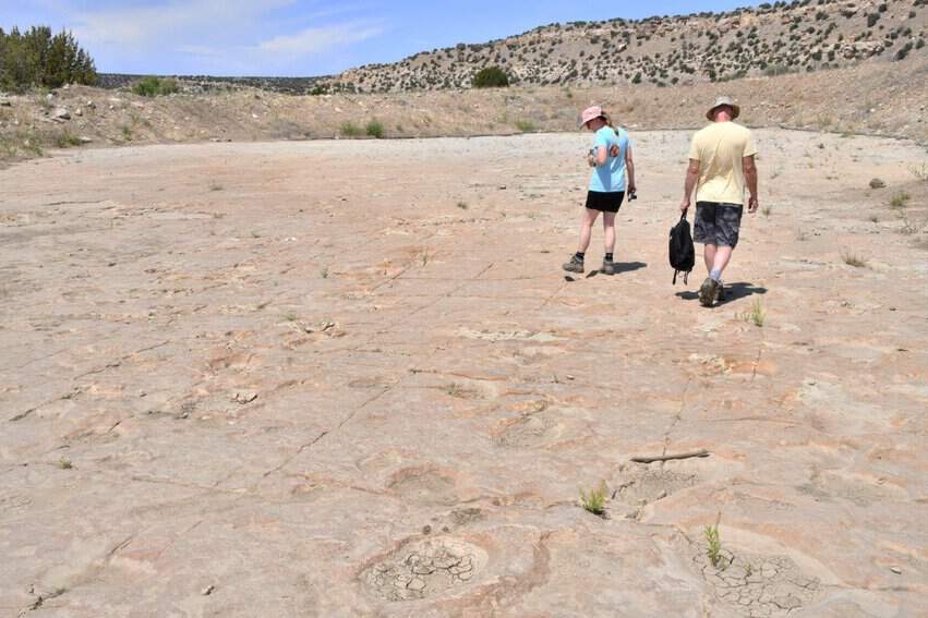 Pickwick Canyon Dinosaur tracks