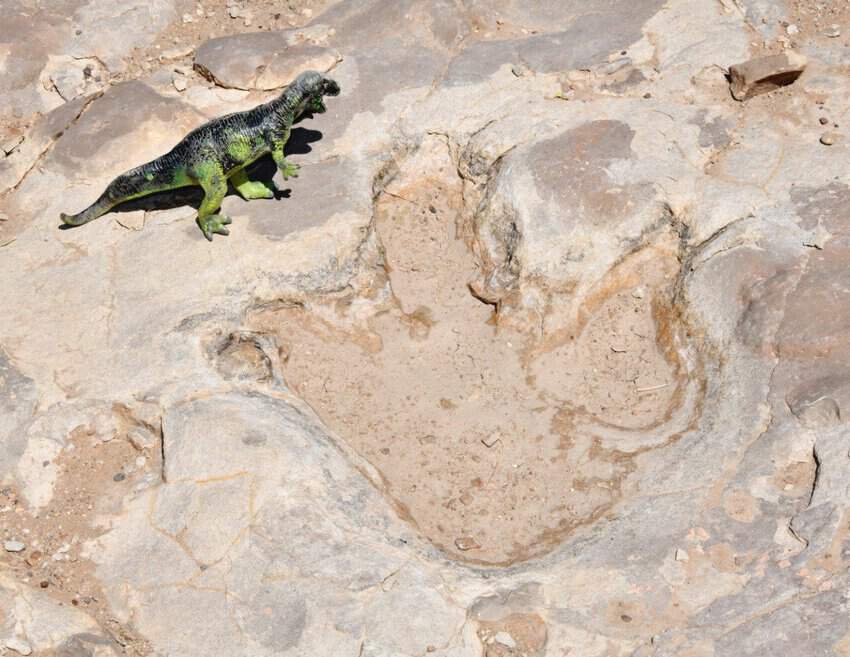 Picket Wire Canyon Dinosaur Tracks