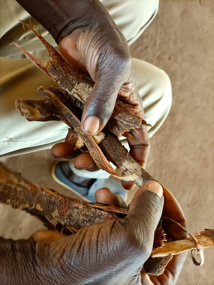 The 'chief' showing me some of the herbs he uses in crafting his medicine.