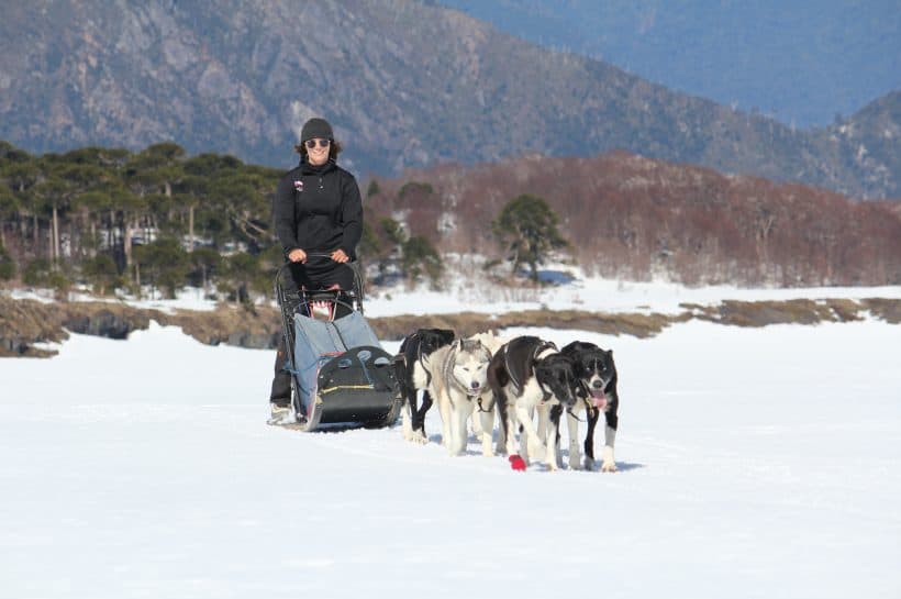 Aurora Austral: Husky Farm in the Chilean Mountains