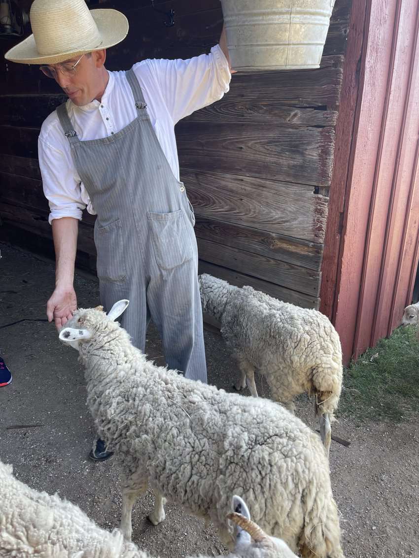 Dalton feeding the sheep. Photo by Jack Dunphy