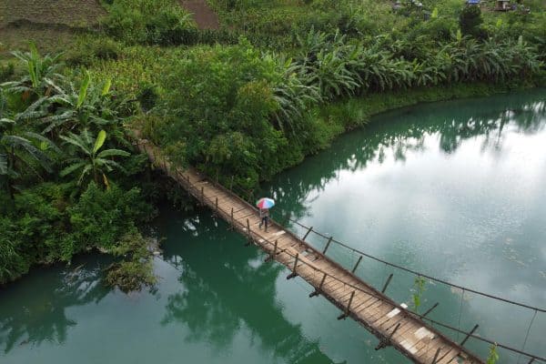 Mekong petels