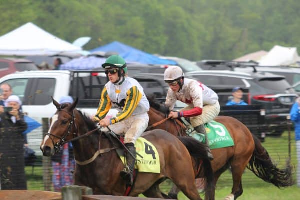 Winterthur Point to Point mud splattered riders