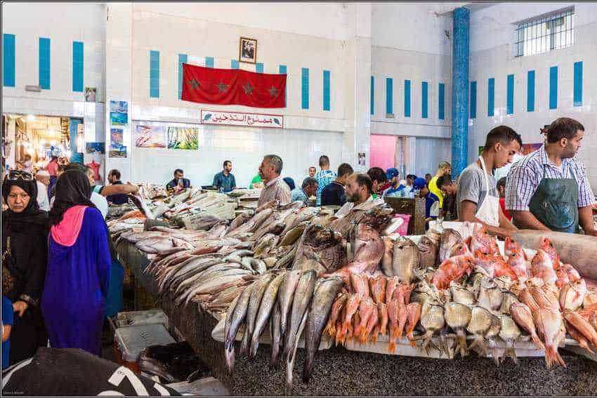 Tangier Fish Market