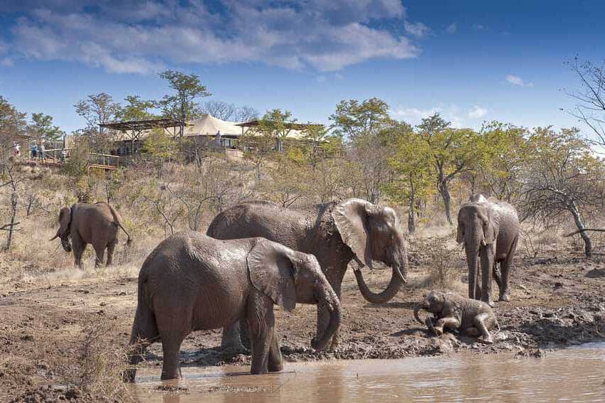 The Elephant Camp's Waterhole.